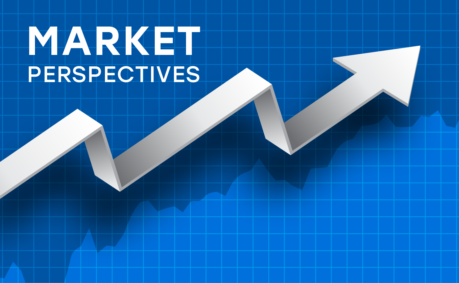 Market Perspective- November 2023